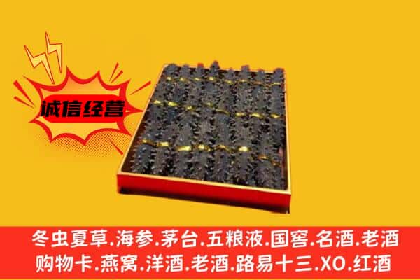 阿勒泰哈巴河县回收海参